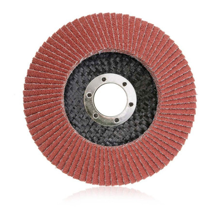 Disques à lamelles céramiques Ø125 - Gamme 919 (x10)