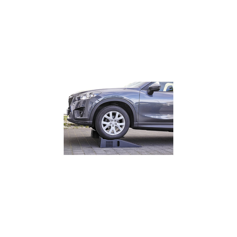 LOT DE 2 RAMPES 900x305x160mm POUR ERGO LIFT 1000